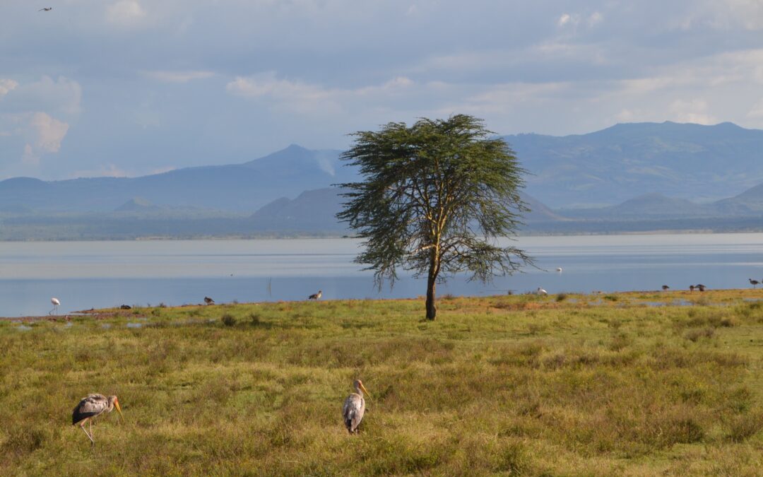 Lake Elmenteita en Soysambu Conservancy